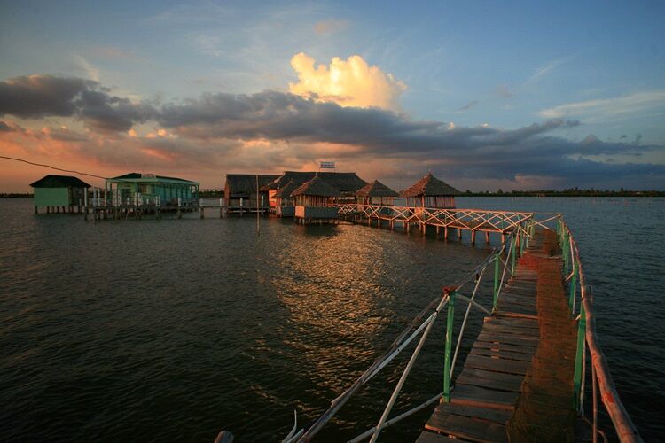 Photograph the historic allure of Ca Mau’s heritage